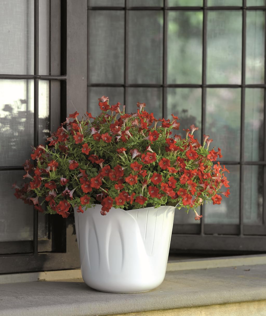 Bama 35 cm Plant Pot White – Stylish Indoor and Outdoor Planter