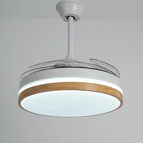 Enarat Ceiling Fan with Hidden Blades