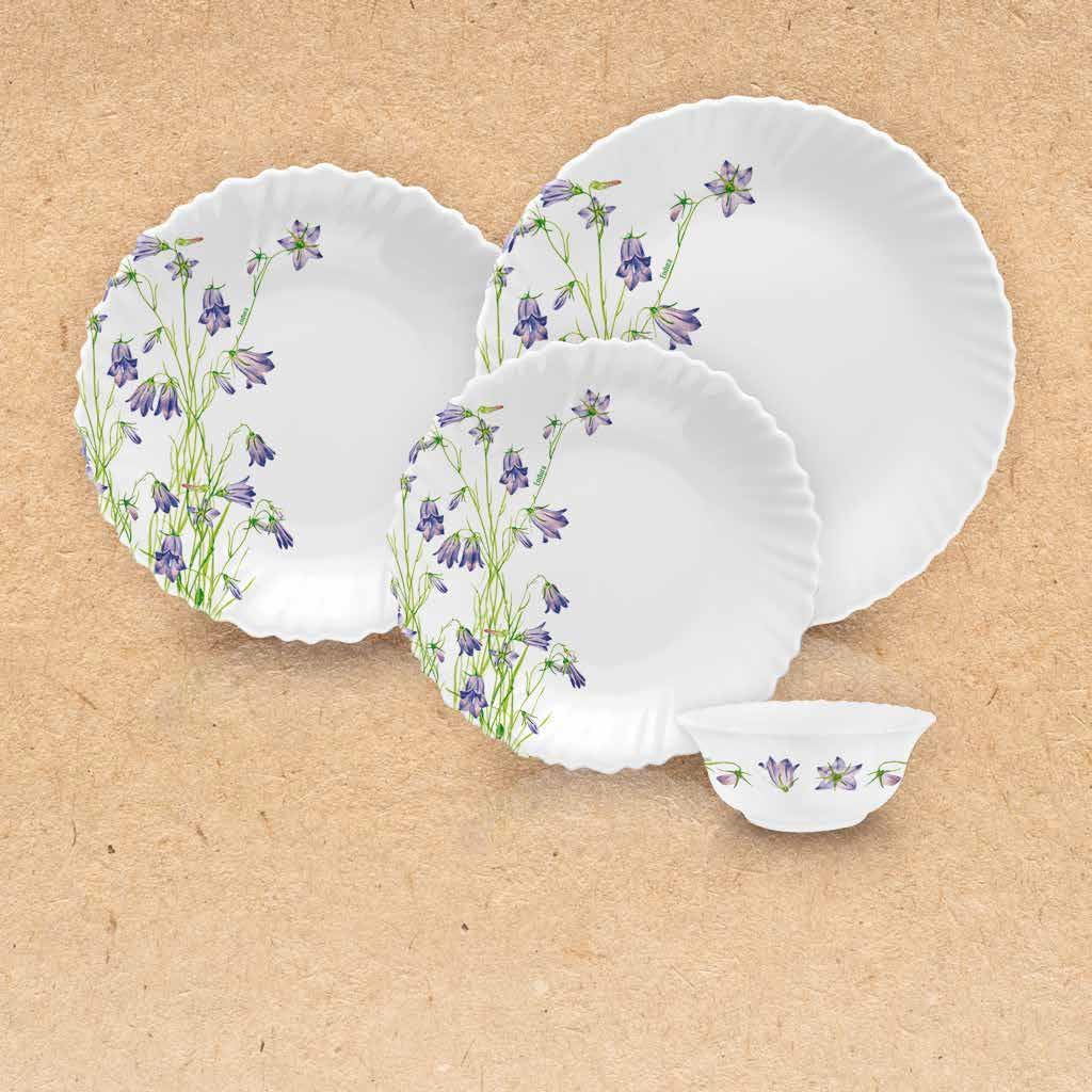 Endura 24 Piece Dinner Set