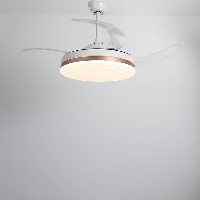 Vinnie 40-Inch Hidden Blades Ceiling Fan