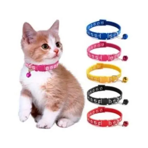 Golden Panda Cat Collar 10mm x 20–30cm – Red