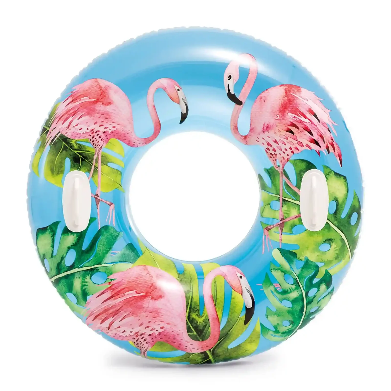 Intex Swim Ring
